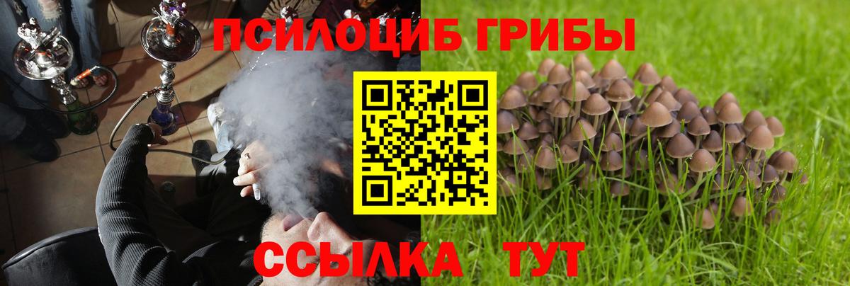 Галлюциногенные грибы мицелий Дагестанские Огни