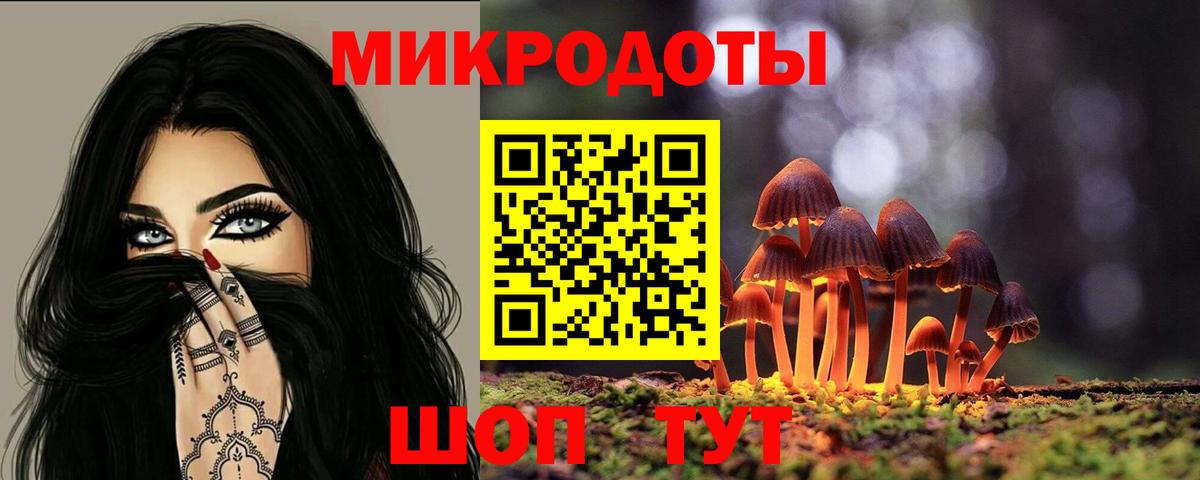 Дагестанские Огни  Галлюциногенные грибы Cubensis  Вход с VPN 